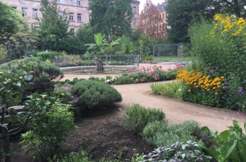 Botanischer Garten Archive Bergblumengarten